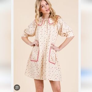 GeeGee NWT Vintage-Inspired Strawberry Cream Floral Peter Pan Collar Dress S/M/L